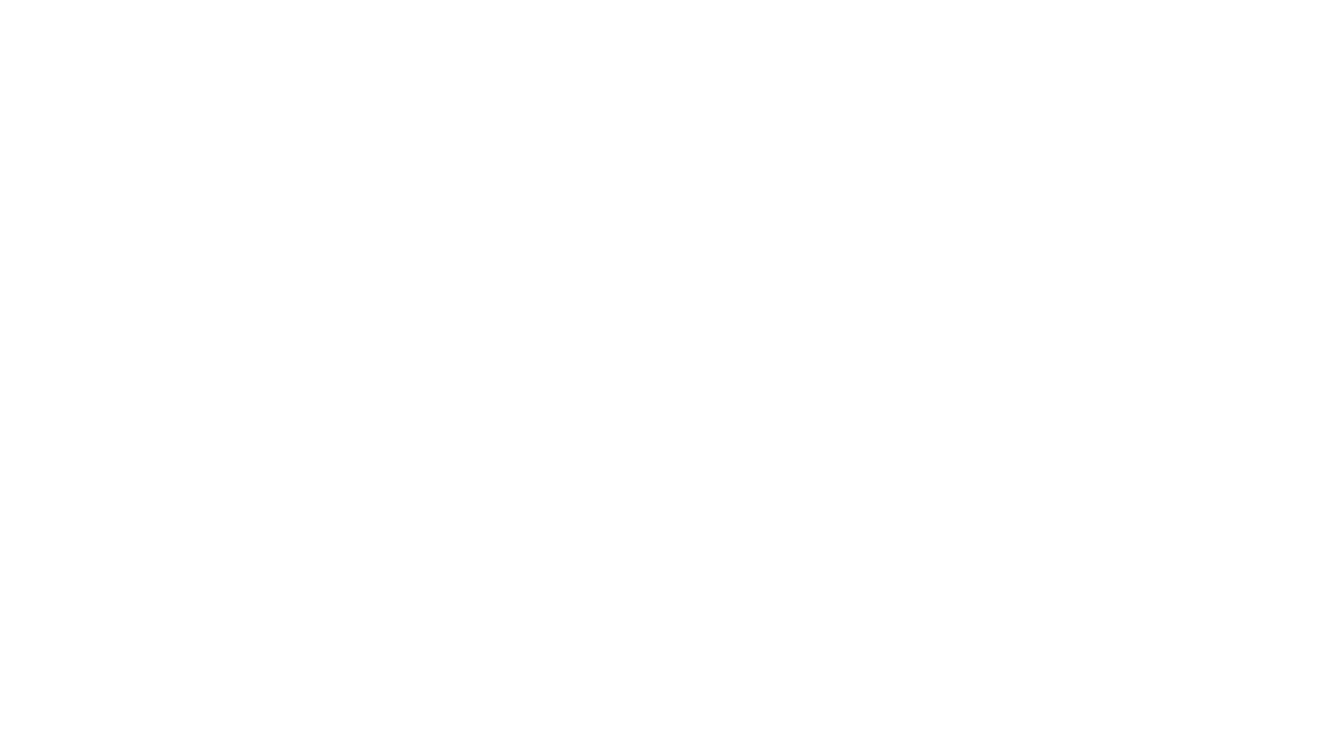 MANOEL VIDROS
